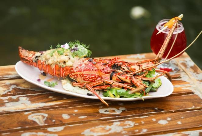 Lobster