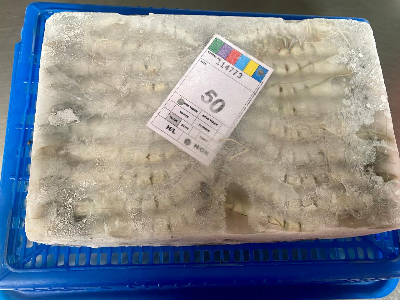 Frozen Seafood